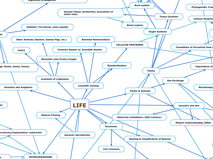 LIFE - Mind Map