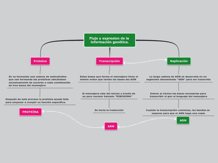 Flujo y expresion de la información gen...- Mapa Mental