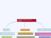 Challenges facing 21st Century Leaders - Mind Map
