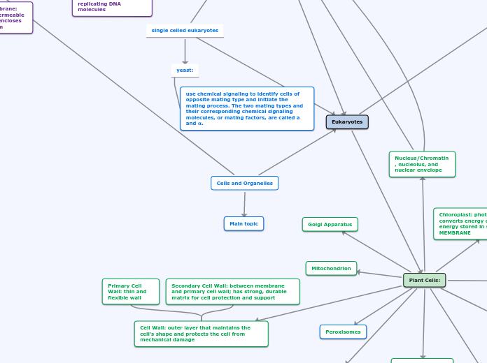 Cells and Organelles - Mind Map