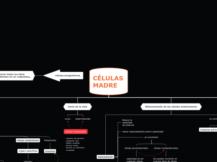 CÉLULAS MADRE - Mapa Mental