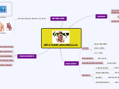 ABP - Mapa Mental