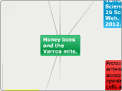 Honey bees and the Varroa mite. - Mind Map