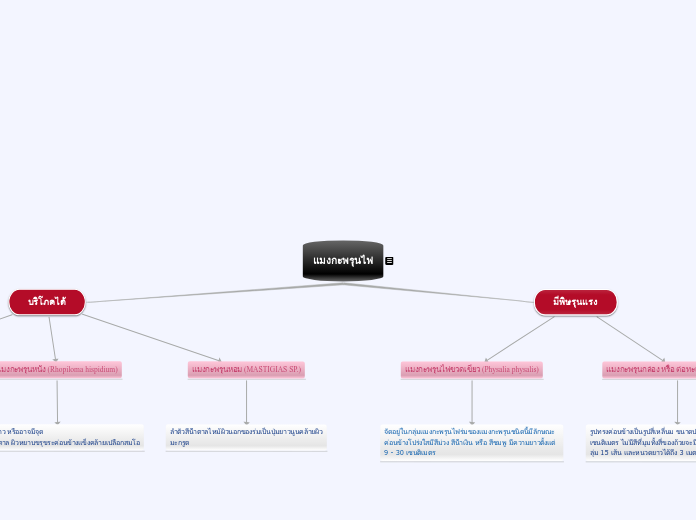 แมงกะพรุนไฟ - Mind Map