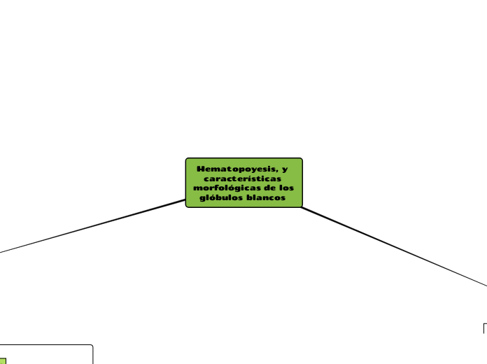 Hematopoyesis, y características morfol...- Mapa Mental
