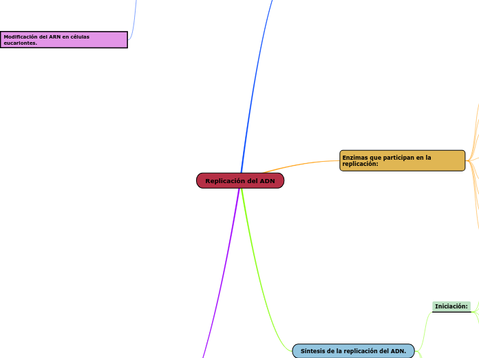 Replicación del ADN - Mapa Mental