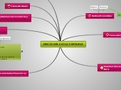 INICIO DEL CICLO CONTABLE - Mapa Mental