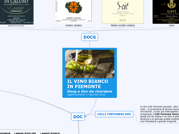 IL VINO BIANCO
IN PIEMONTE
Docg e Doc...- Mappa Mentale
