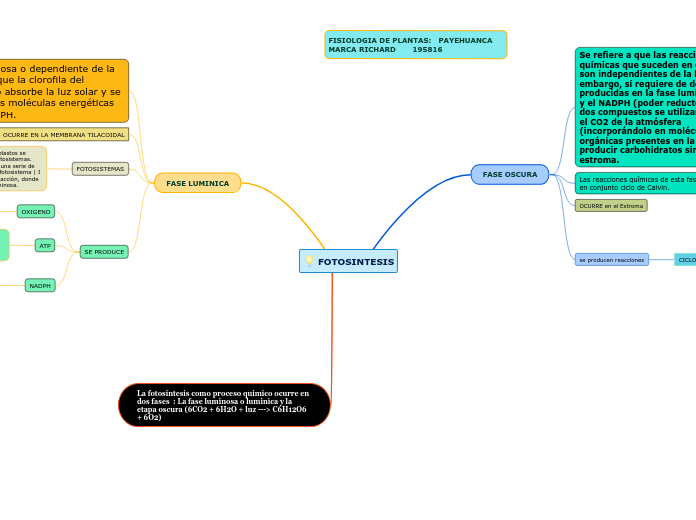 FOTOSINTESIS - Mind Map FOTOSINTESIS - Mind Map