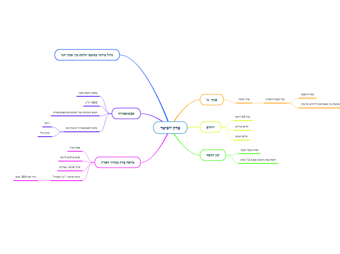 צדק יופיטר - Mind Map