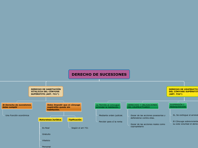 DERECHO DE SUCESIONES - Mapa Mental