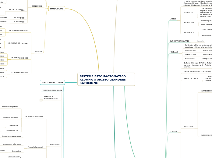 SISTEMA ESTOMAGTONATICO
ALUMNA :TORIBIO...- Mapa Mental