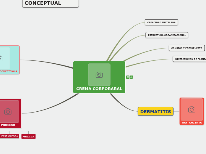MARCO CONCEPTUAL