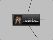 Cap. 2                                 ...- Mapa Mental