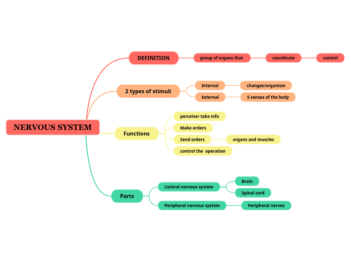 Nervous system mind map