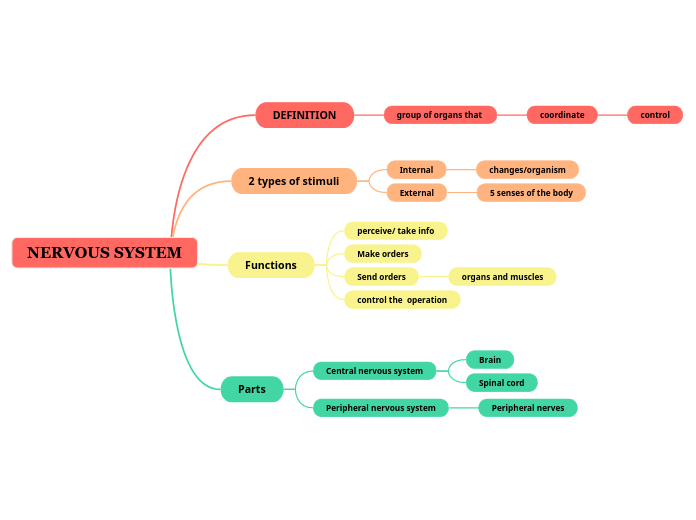 NERVOUS SYSTEM 