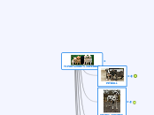 TIPOS DE PERROS - Mapa Mental