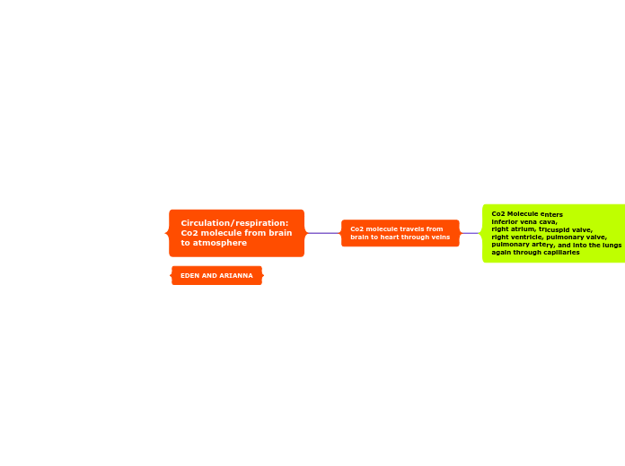Circulation/respiration:
Co2 molecule from...- Mind Map
