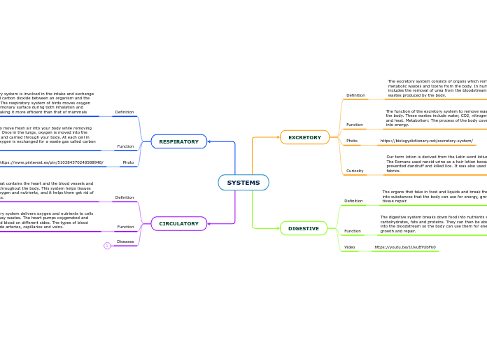 SYSTEMS - Mind Map