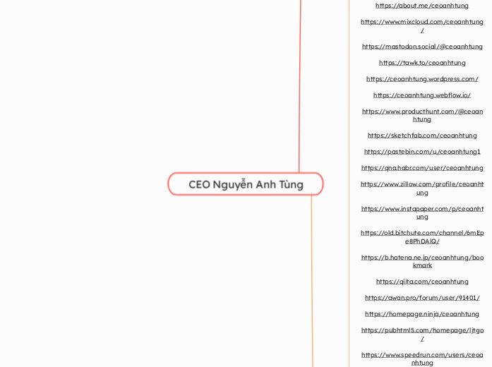 CEO Nguyễn Anh Tùng - Mindmap