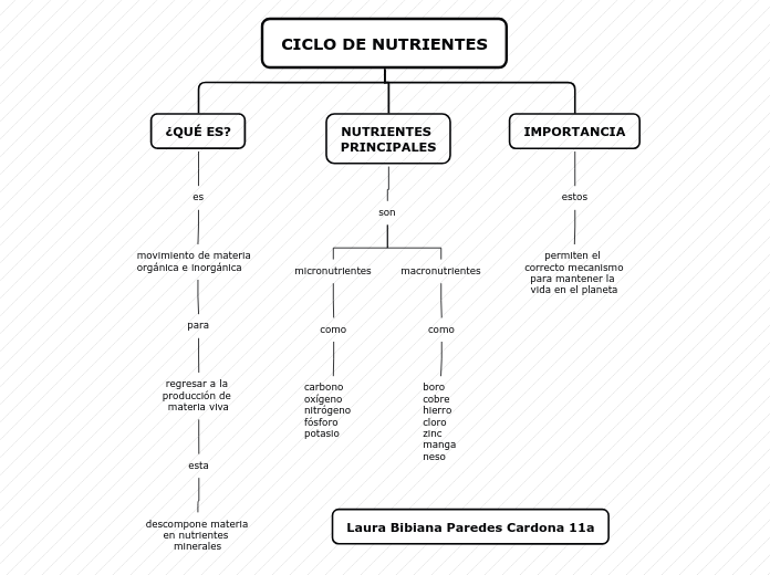 CICLO DE NUTRIENTES - Mapa Mental