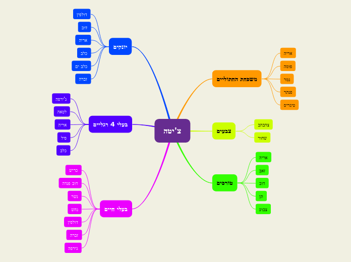 צ'יטה - Mind Map
