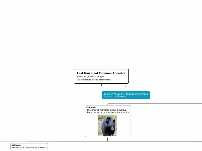 Last Universal Common Ancestor
-DNA as gen...- Mind Map