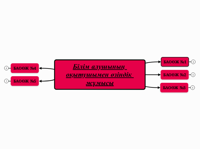 Білім алушының оқытушымен өзіндік жұмысы
