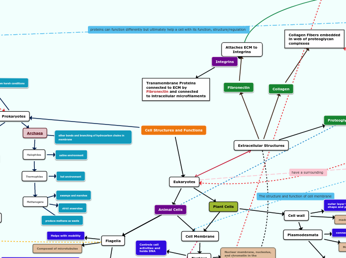 Cell Structures and Functions - Mind Map