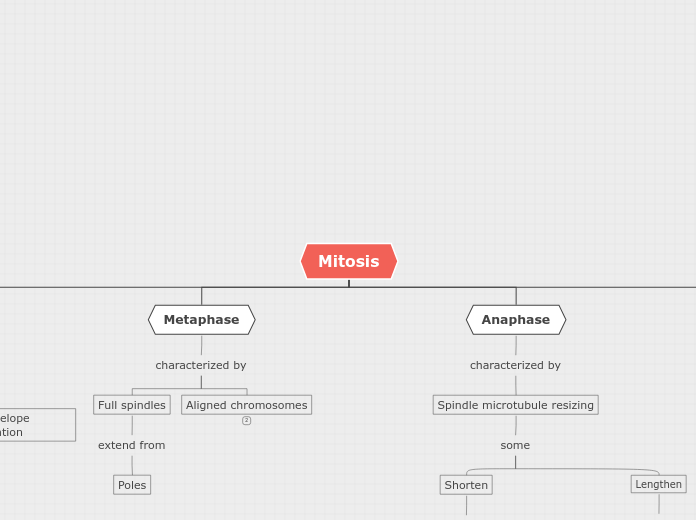 Mitosis - Mind Map