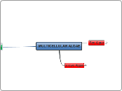 MULTICELLULAR ALGAE - Mind Map