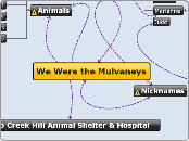 We Were the Mulvaneys - Mind Map