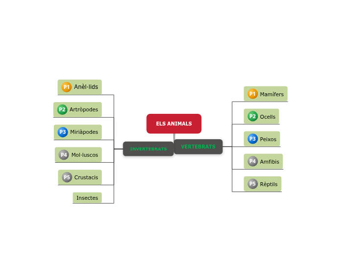 ELS ANIMALS - Mind Map