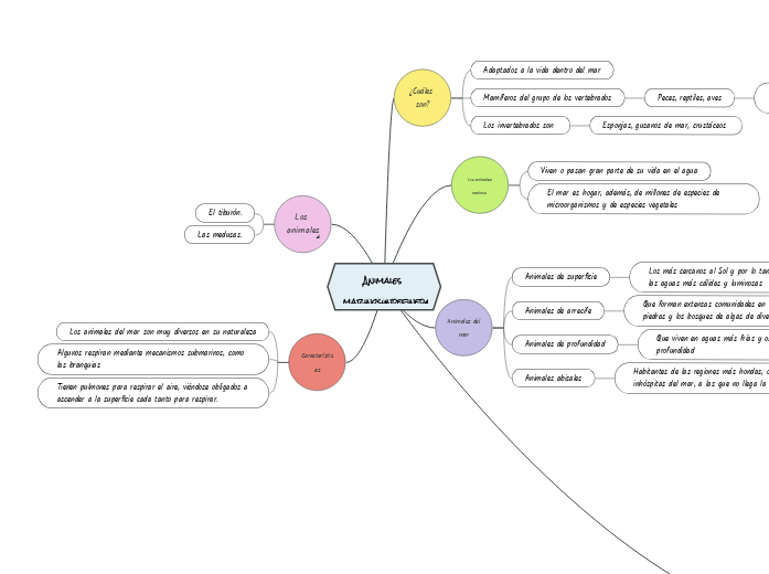 aqa - Mindmap - Voorbeeld