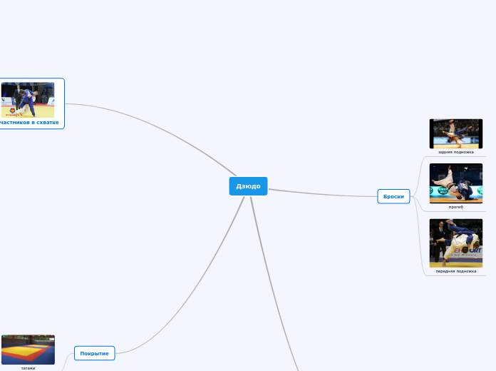 Дзюдо - Мыслительная карта