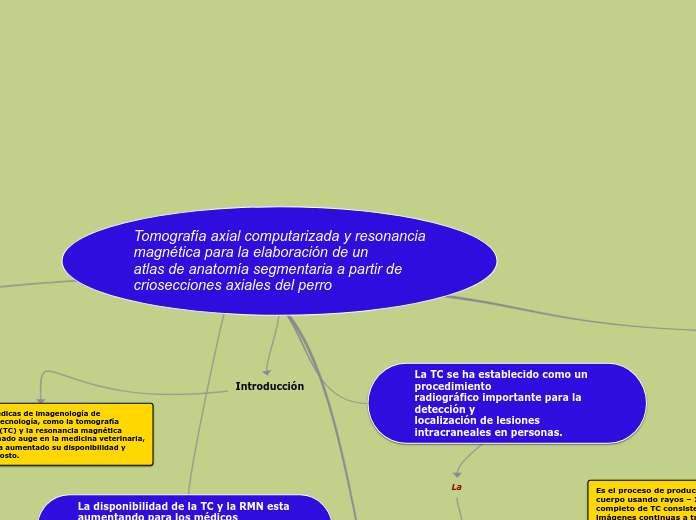 Tomografía axial computarizada y resona...- Mapa Mental