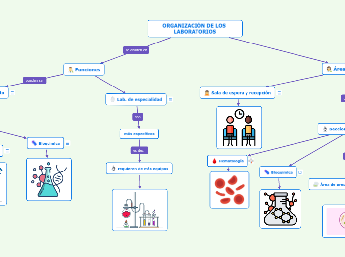 ORGANIZACIÓN DE LOS LABORATORIOS - Mind Map