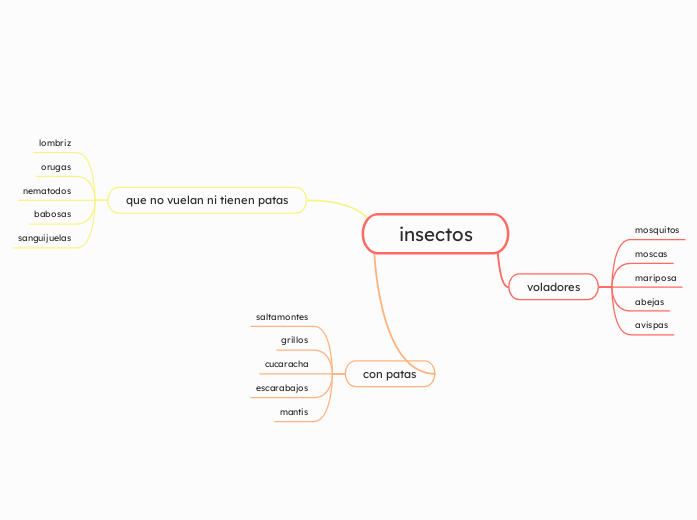 insectos