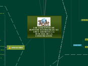 LOS CONCEPTOS DE ESPECIES SUCEDANEAS: S...- Mapa Mental