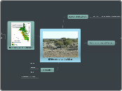 El Bosque de Calden - Mapa Mental