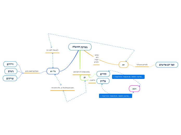מערכת ההובלה - Mind Map