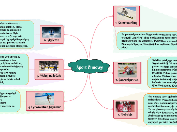 Sport Zimowy