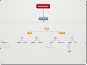 Proyecto FEF - Mapa Mental