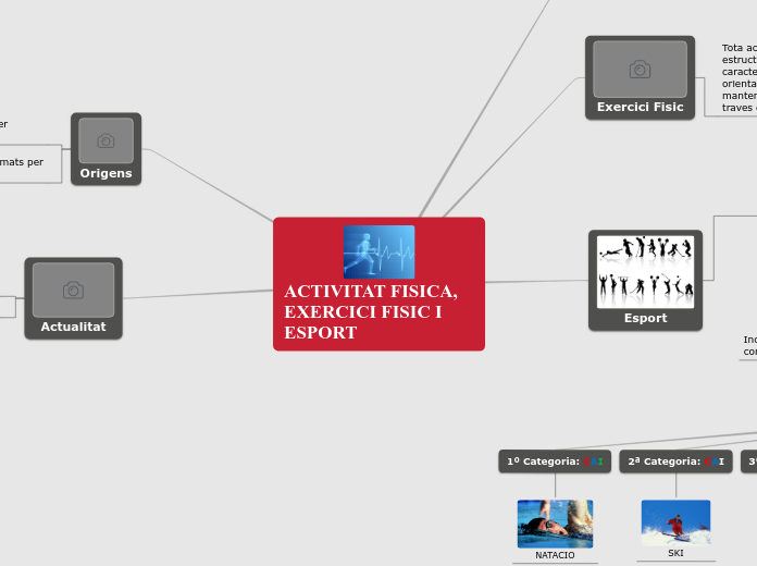 ACTIVITAT FISICA, EXERCICI FISIC I ESPO...- Mapa Mental
