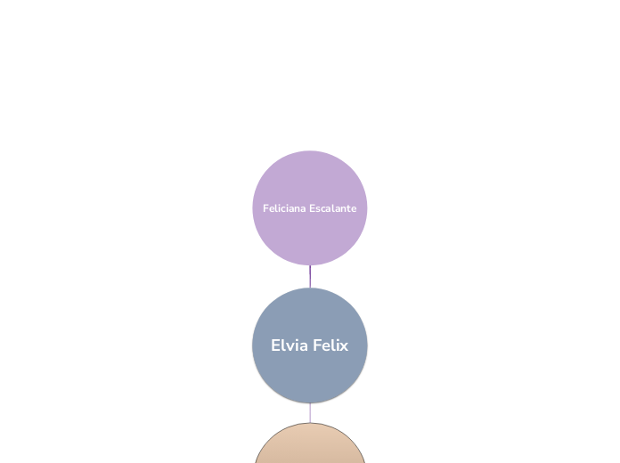 Feliciana Escalante - Mapa Mental