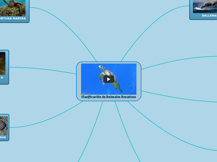 Clasificación de Animales Acuaticos - Mapa Mental
