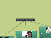ÁMBITOS DE INTERVENCIÓN - Mapa Mental