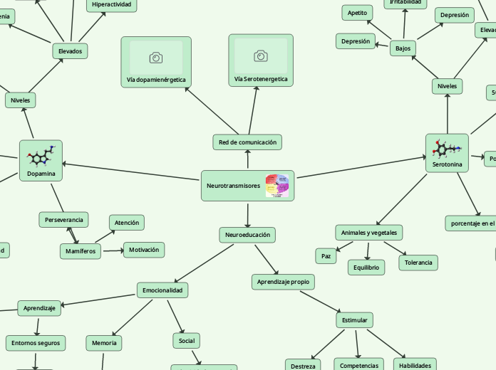 Neurotransmisores - Mapa Mental