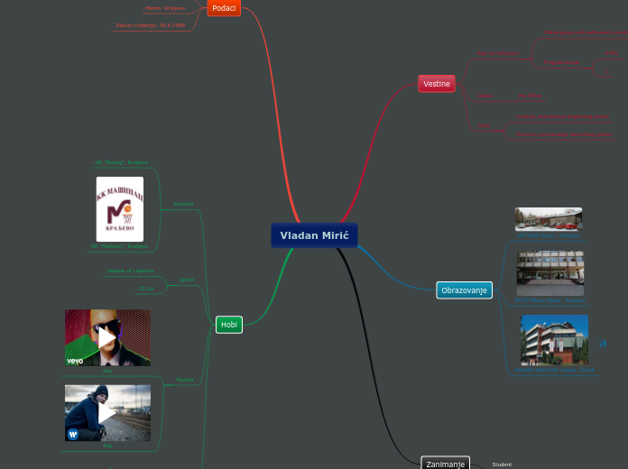 Vladan Mirić - Mind Map