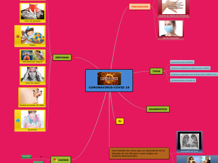 CORONAVIRUS-COVID 19 - Mapa Mental